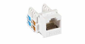 NETLAN EC-UKJ-UD2-WT-10 Модуль-вставка типа Keystone