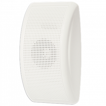 Tantos TSo-SW5DF Громкоговоритель