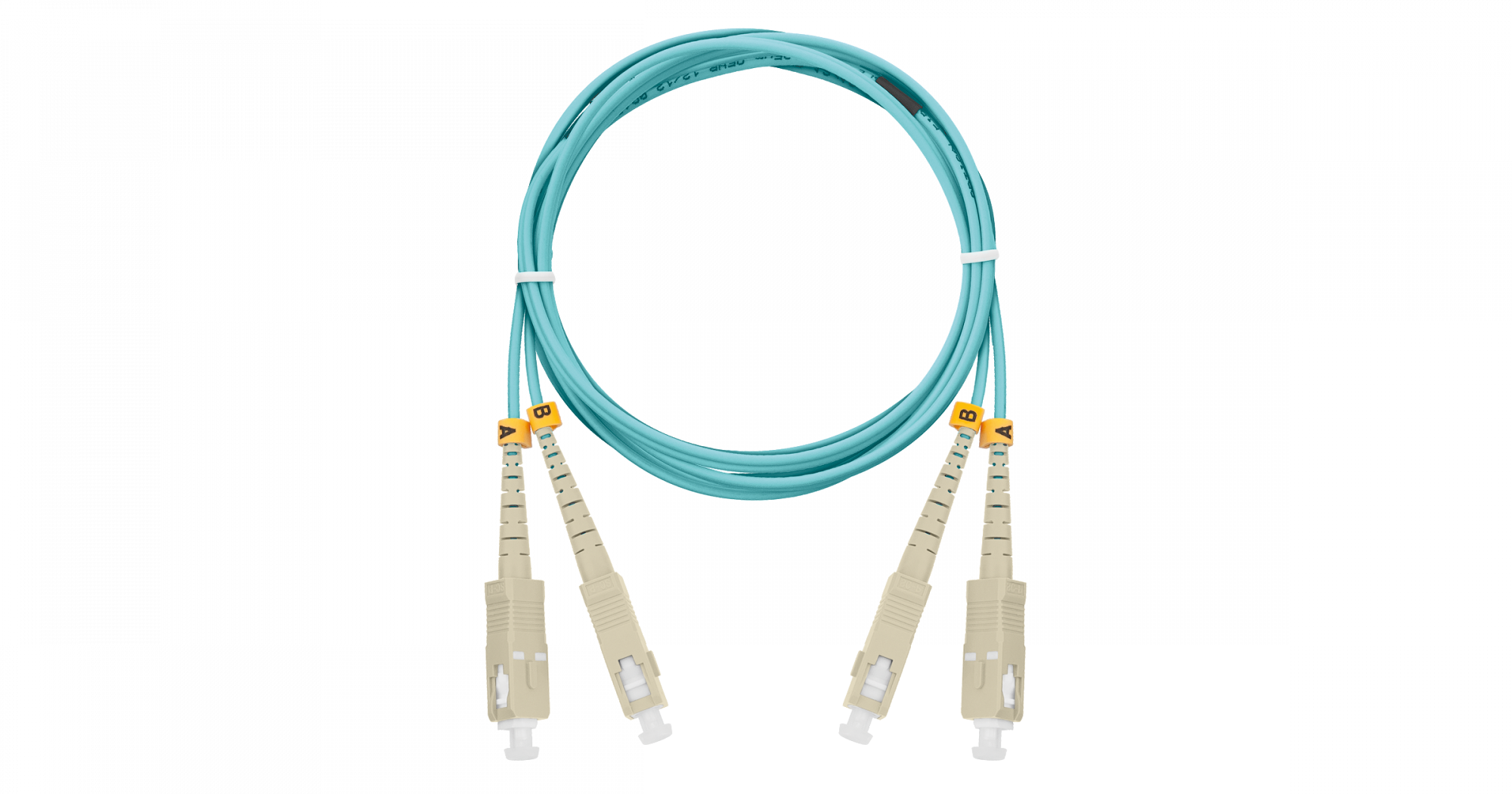 z2t6672b8gphcyswgml91zrz4wvcx4zv