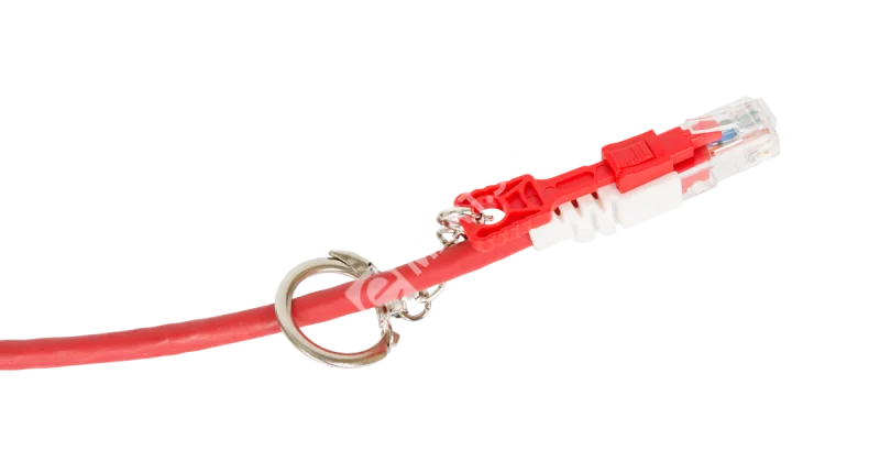 d7gg0o7ee6oe4vnt8l2wyuelrkimnicx