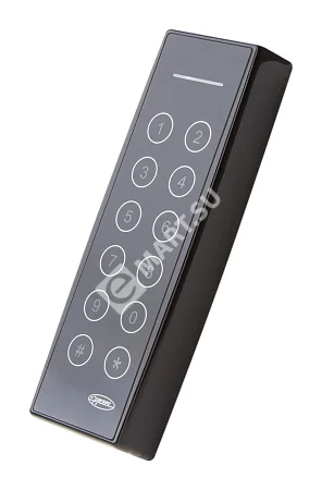 2-removebg-preview (12)