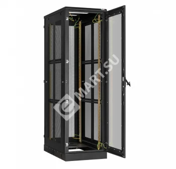 TLK TFA-426010-GPPP-BK Напольный шкаф 19" 42U